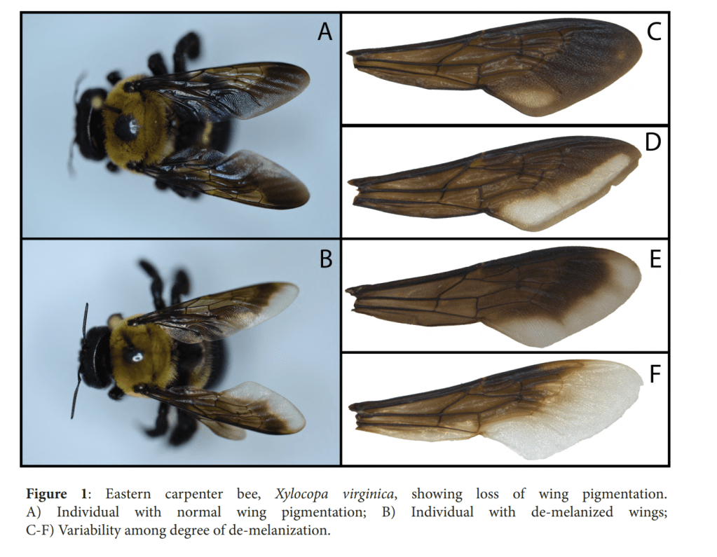 February 2023 Bulletin